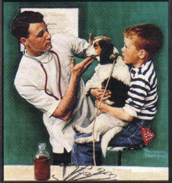 Vet, dog and boy Sunnyside Pet Healthcare Center 